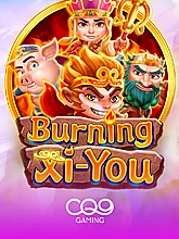 Burning Xi You