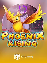 Phoenix Rising