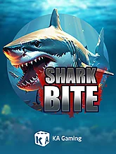 Shark Bite