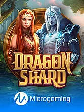 Dragon Shard