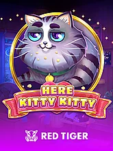 Here Kitty Kitty